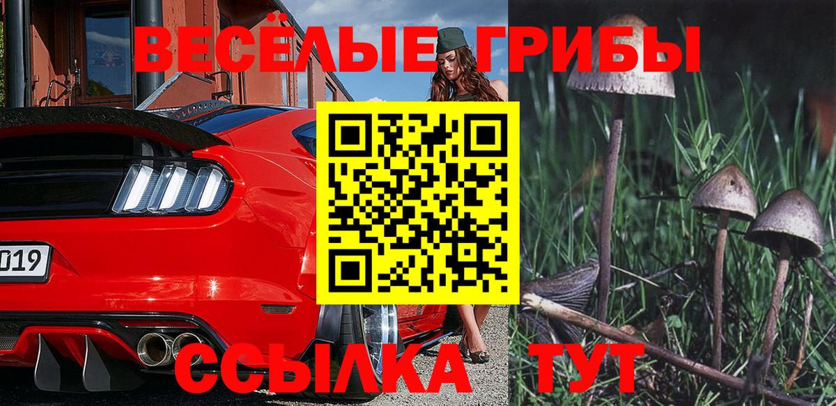 Галлюциногенные грибы Psilocybine cubensis  Вход с VPN  Качканар 